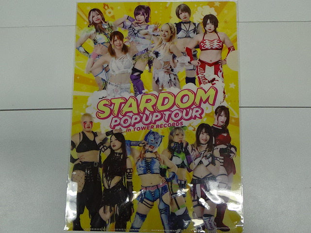 スターダム　クリアファイル　集合
