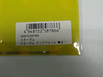 スターダム　クリアファイル　集合