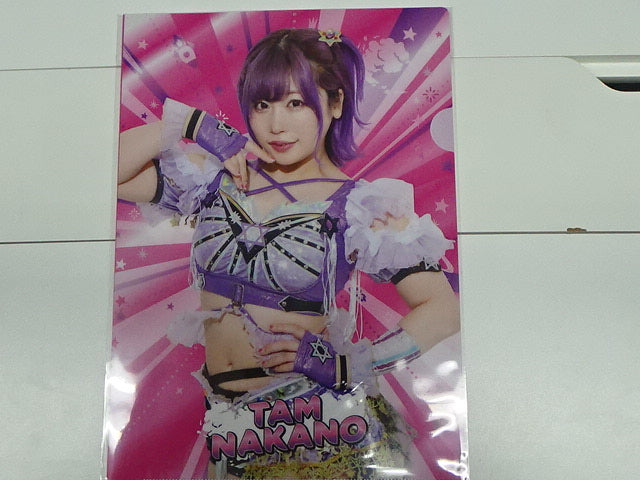 スターダム　クリアファイル　中野たむ