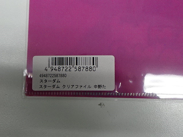 スターダム　クリアファイル　中野たむ