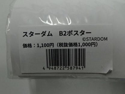 スターダム B2ポスター（店舗限定）