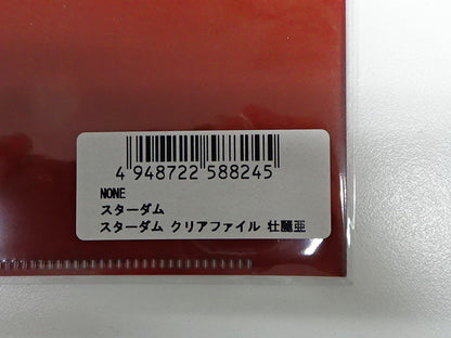 スターダム　クリアファイル 壮麗亜美