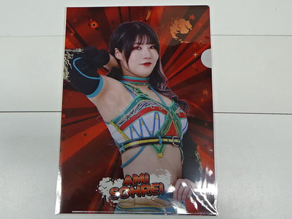 スターダム　クリアファイル 壮麗亜美